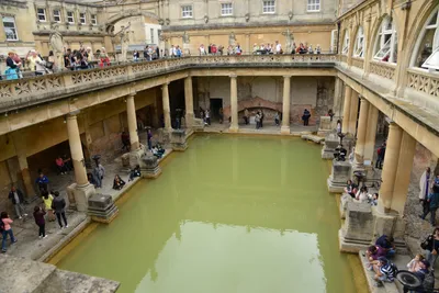 DSC_2618 (Large).JPG